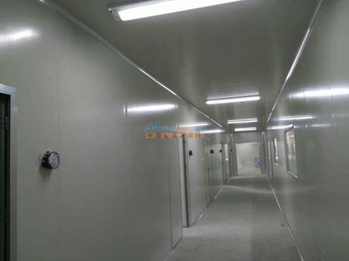 陜西食品廠車間凈化工程裝修 河南豫凈環?？萍嫉慕鉀Q方案