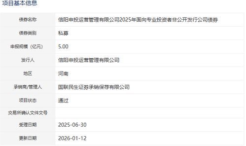 信陽(yáng)申投運(yùn)營(yíng)管理公司5億元公司債獲批，加碼人工智能公共服務(wù)技術(shù)咨詢服務(wù)